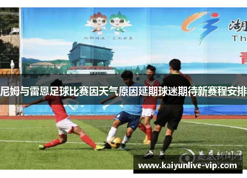 尼姆与雷恩足球比赛因天气原因延期球迷期待新赛程安排