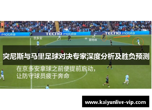 突尼斯与马里足球对决专家深度分析及胜负预测